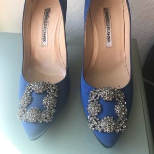 Manolo Blahnik Hangisi Shoes-105 mm heel